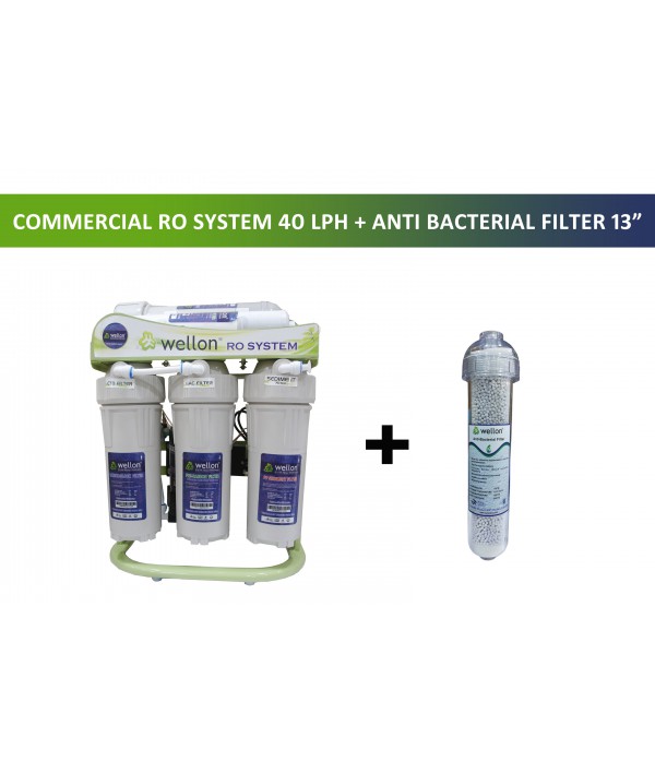 WELLON 40 LPH Domestic or Commercial RO Plant with 13 Inch Anti Bacterial Filter TDS Controller Water Purifier