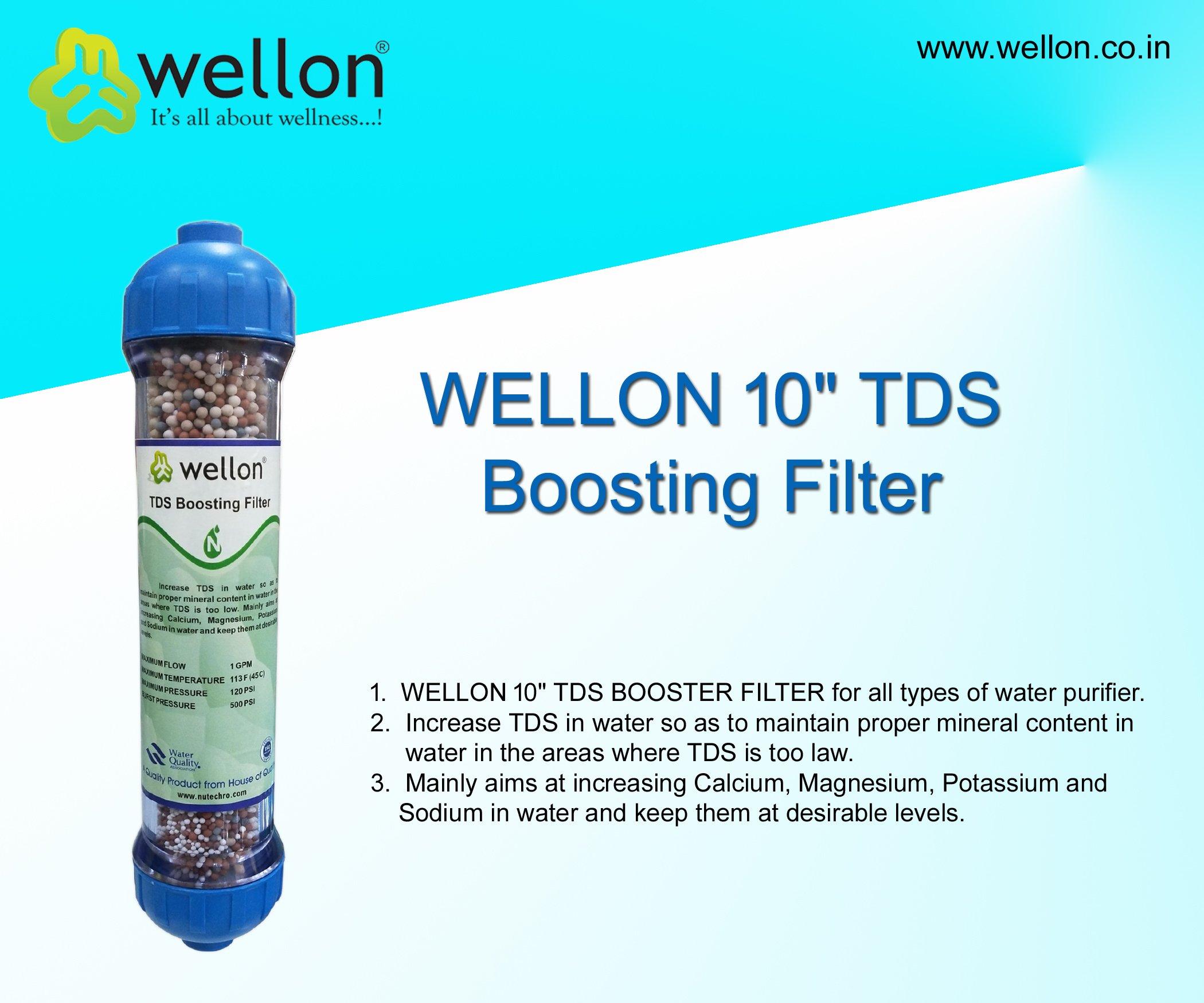 WELLON 10″ TDS Boosting Filter